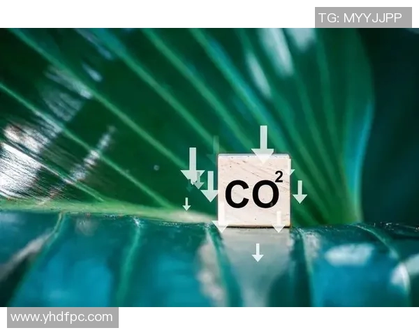 欧盟碳边境调节机制或导致进口商品价格上涨，对全球贸易带来冲击